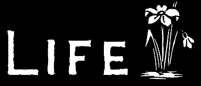 Life logo