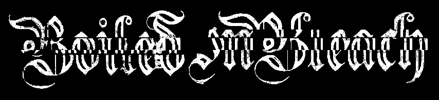 Boiled in Bleach logo