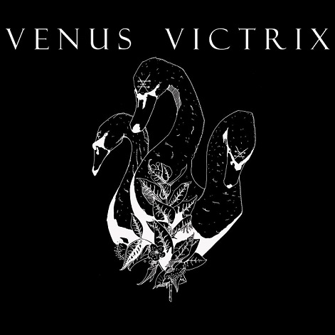 Venus Victrix logo