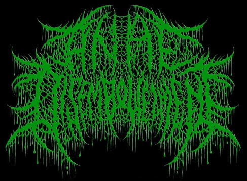 Anal Disembowelment logo