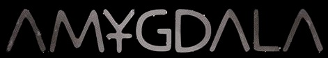 Amygdala