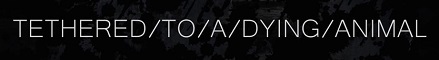 Tethered/to/a/Dying/Animal logo