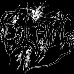 Festering logo
