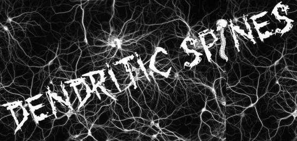 Dendritic Spines logo