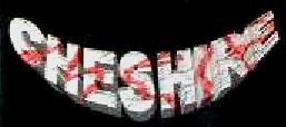 Cheshire logo