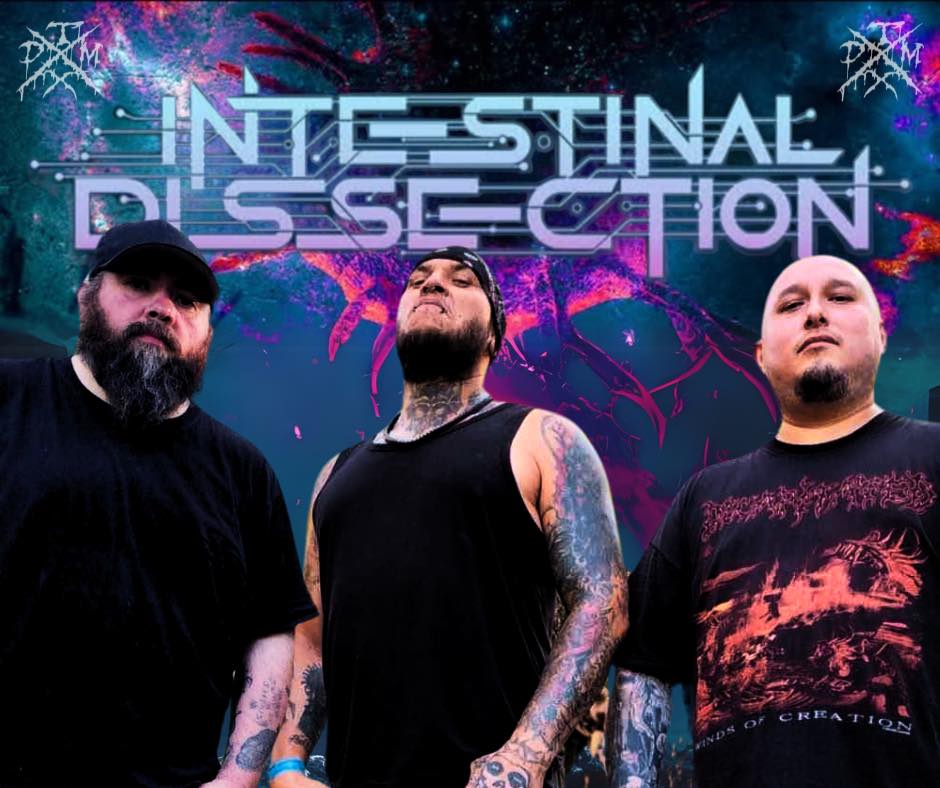 Intestinal Dissection