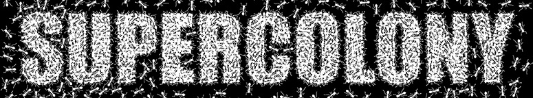 Supercolony
